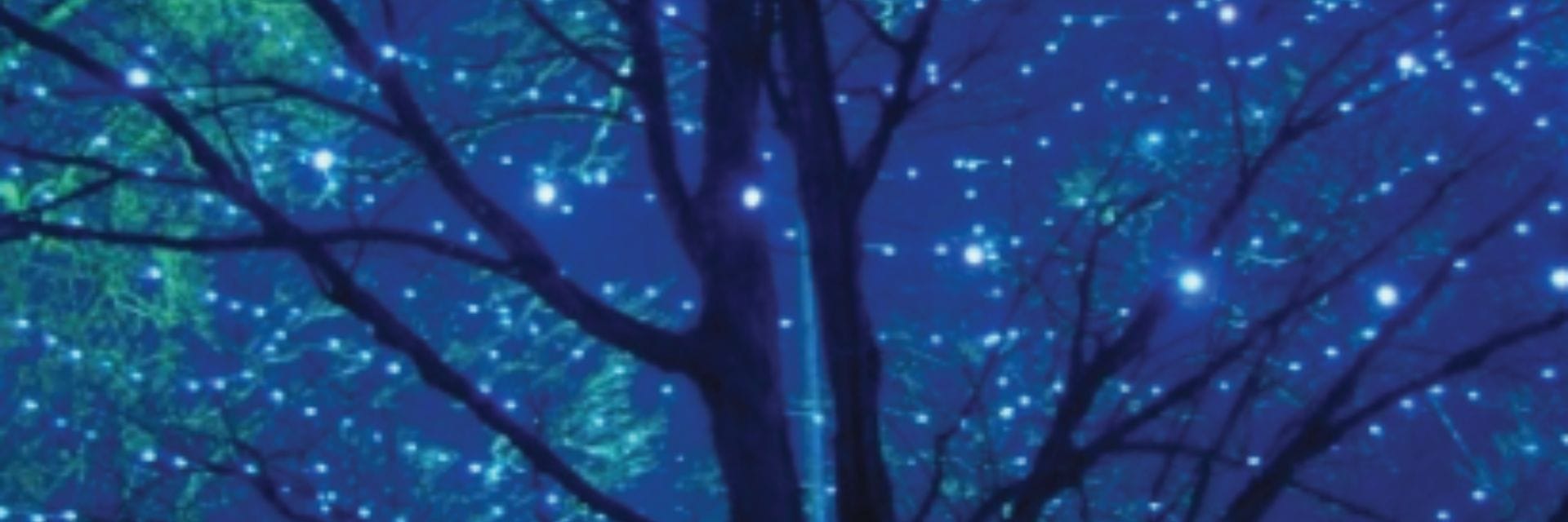 Blue Tree Lighting