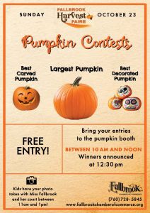 Pumpkin Contests copy