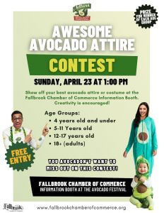 Awesome Avo Attire Contest Flyer 2023