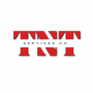 TNT-logo-new-light (1)