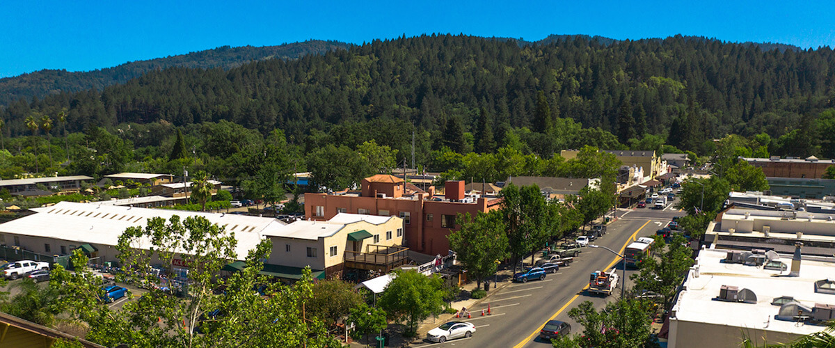 scenic view of town