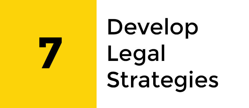 Develop Legal Strategies