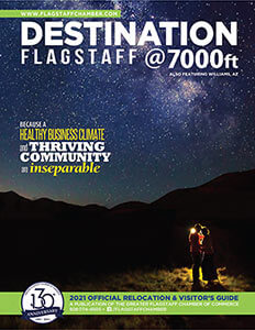Destination Flagstaff cover image