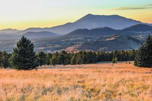 Flagstaff Green Business Certification