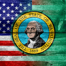 GOVERNMENT-ICOM government icon