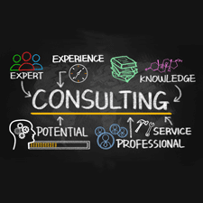 PROFESSIONAL consulting services graphic