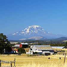 snow capped mountain