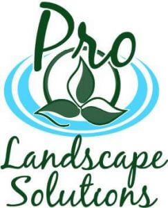 Pro Landscaping