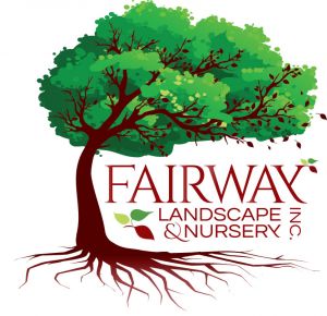 fairway