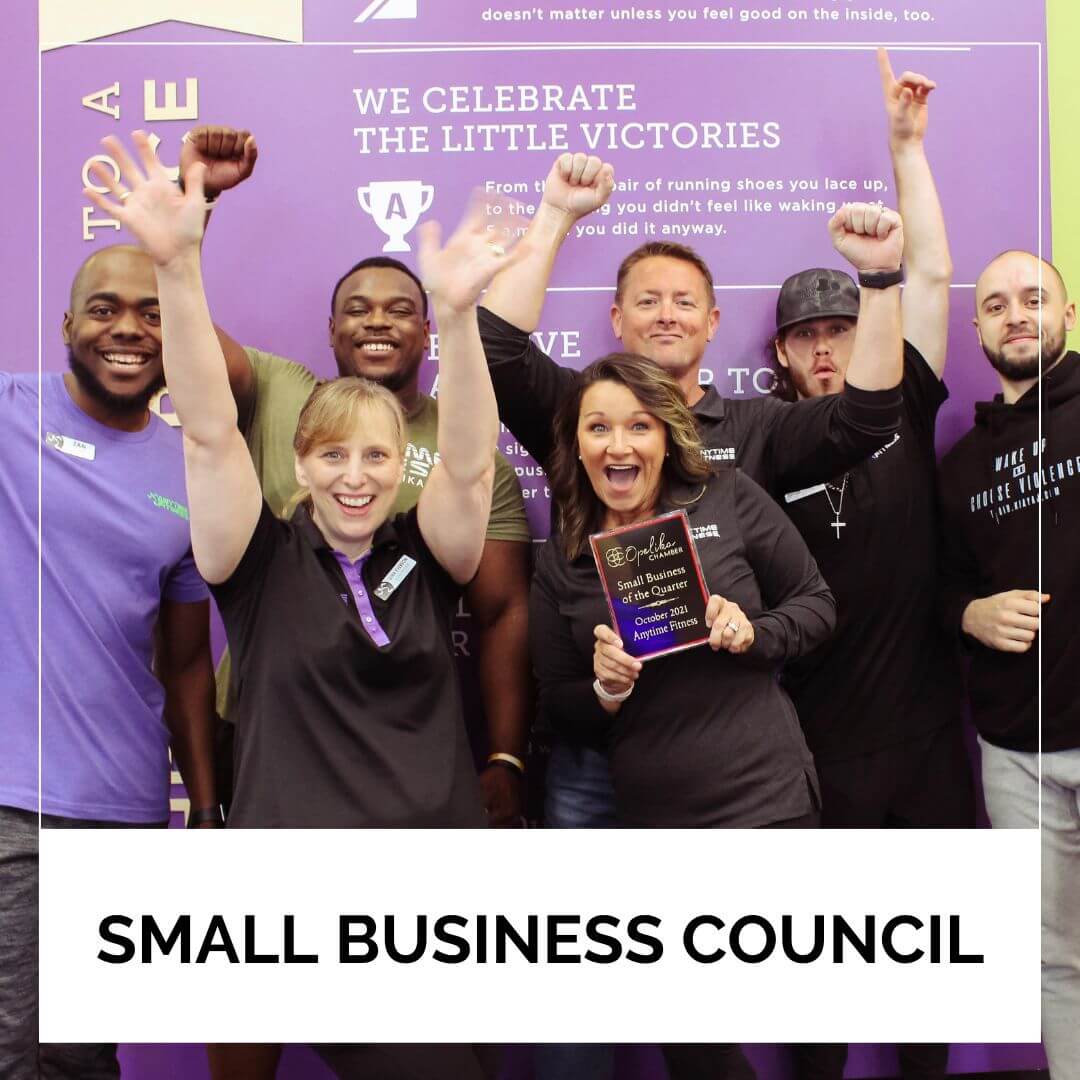 Small Business Council Icon