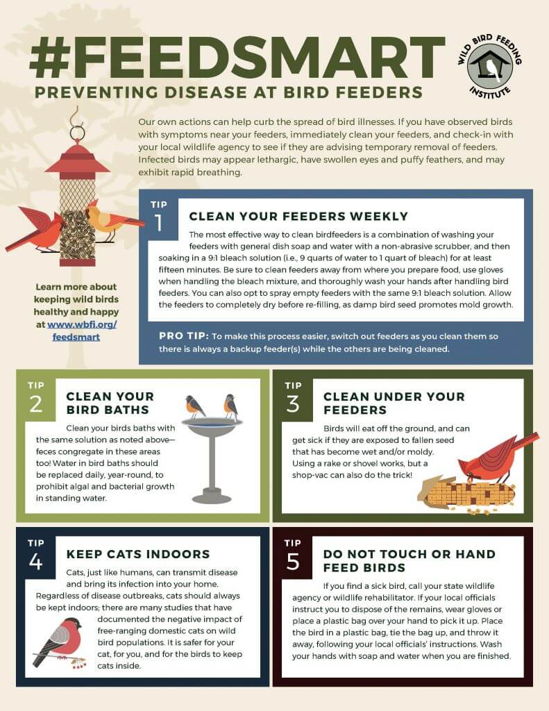 WBFI_FeedSmart_Infographic_03-31-2022