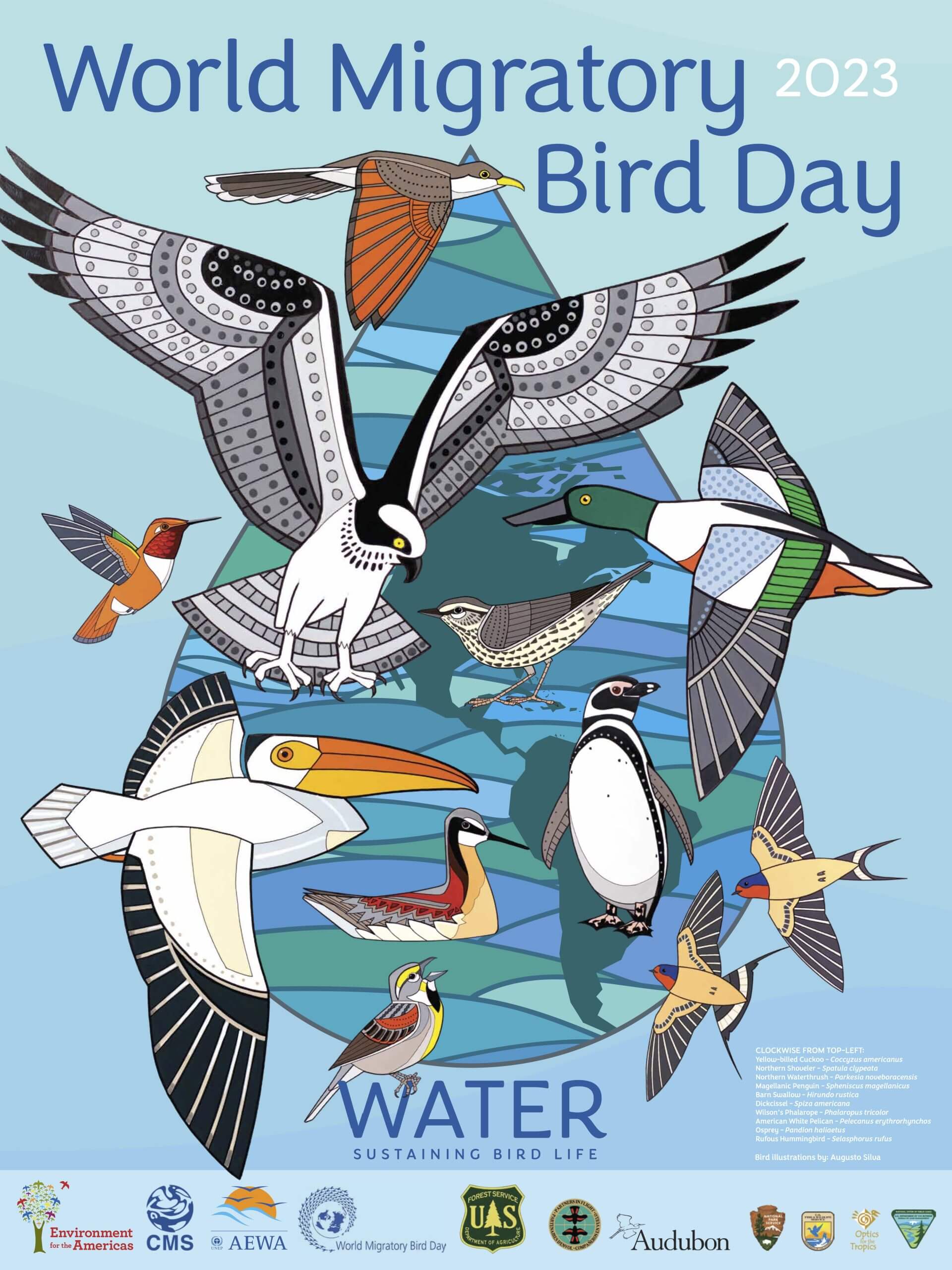 world migratory day