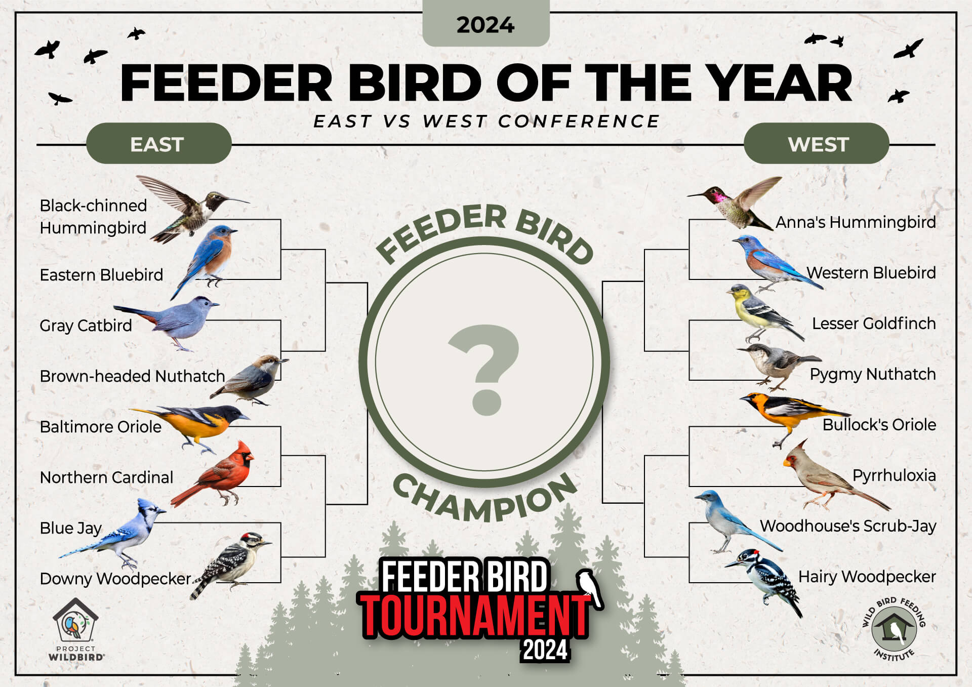 2024 Feeder Bird Of The Year Competition Wild Bird Feeding Institute   WBFI FeederBirdoftheYear Bracket 3 