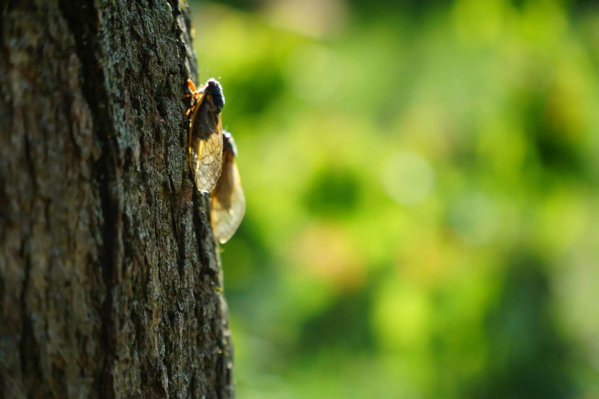 ian-hutchinson-JFv4CdzLchg-unsplash ian-hutchinson-JFv4CdzLchg-unsplash