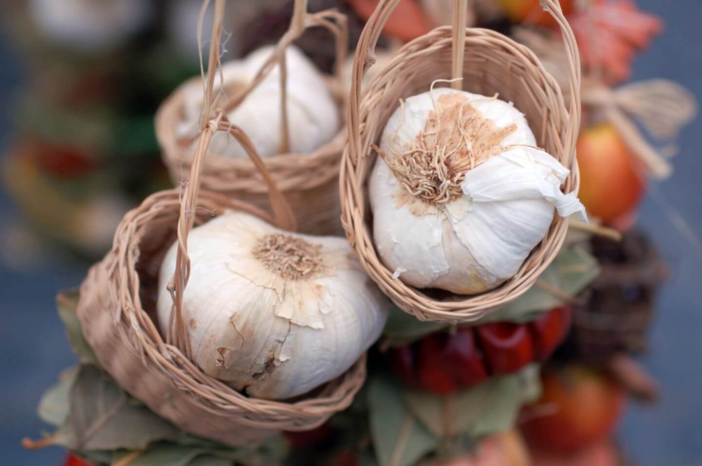 garlic garlic