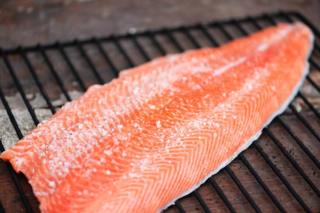 salmon fillet on a grill