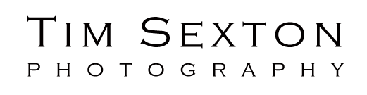 logo - Tim Sexton