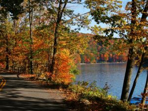 Fall Road along Deep Creek Lake