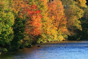 Fall Foliage in Garrett County, Maryland