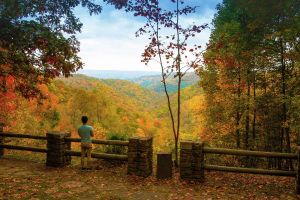 Monroe Run Overlook, Grantsville