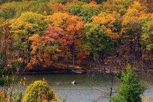 Fall Fishing on Deep Creek Lake