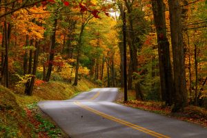 Fall Road in Garrett County, Maryland