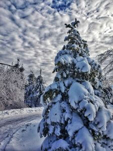 Winter Scene in Garrett County, MD