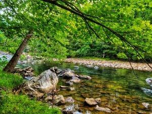 Kendall Trail, Friendsville