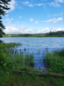 Herrington-Lake_low