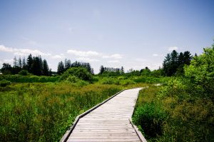 boardwalk-kisten