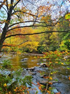 kendall-fall-river