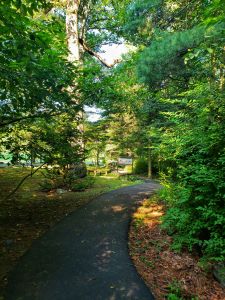 Kitzmiller Botanical Garden pathway