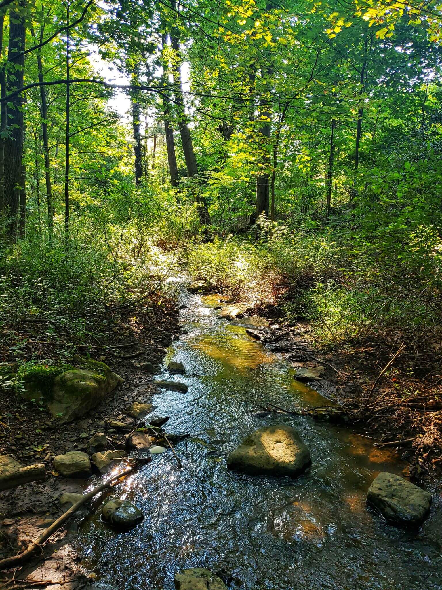 Town of Kitzmiller Garrett County Chamber of Commerce