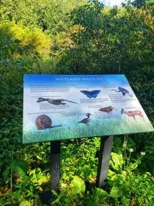 Loch Lynn Heights Wetlands Trail
