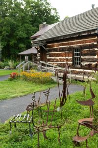 spruce-forest-8