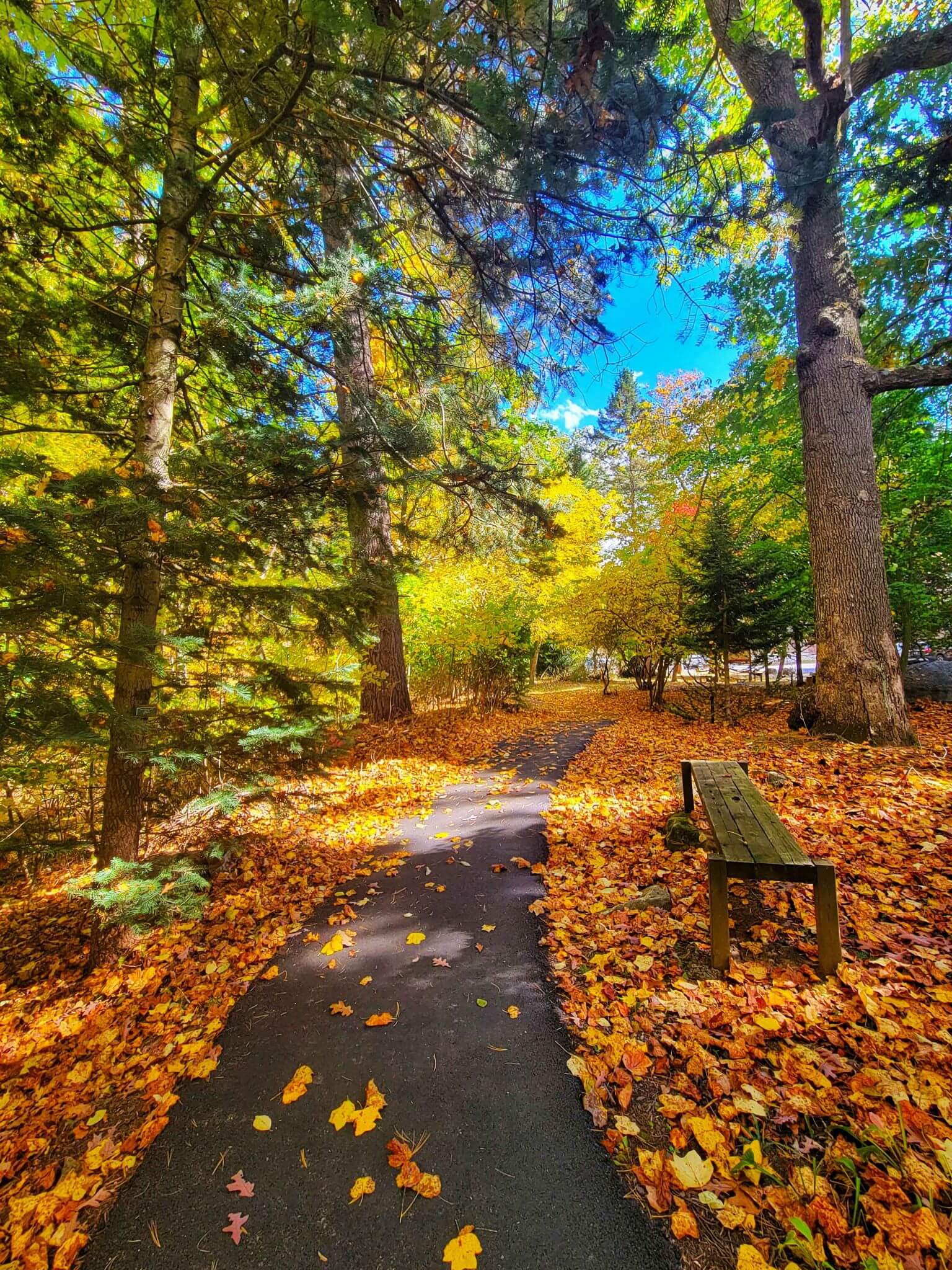 Town of Kitzmiller Garrett County Chamber of Commerce