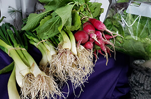 winter-farmers-market-22-8
