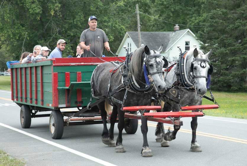 Horse-drawn wagon rides
