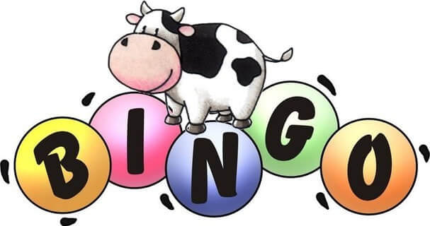 cow-plop-bingo_orig