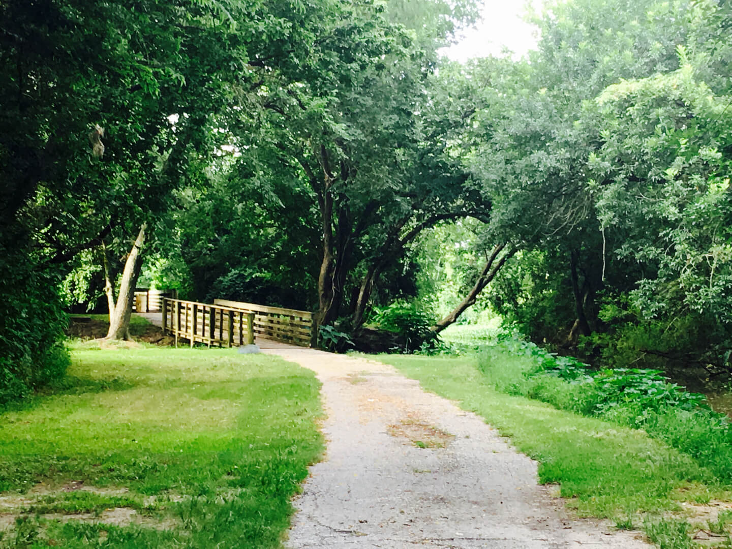 wooded-path-and-walking-bridge