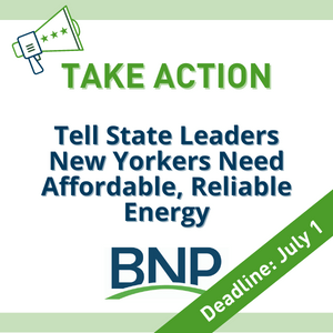 Voter Voice - TAKE ACTION reliable energy july 1- Square