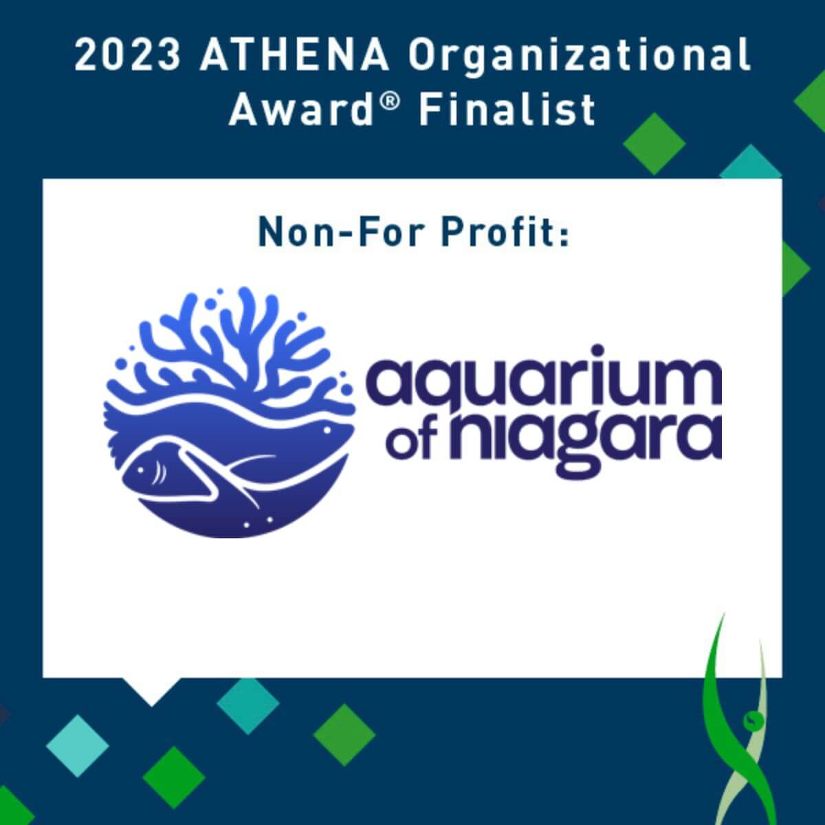 Get to know the Aquarium of Niagara, finalist for the 2023 ATHENA