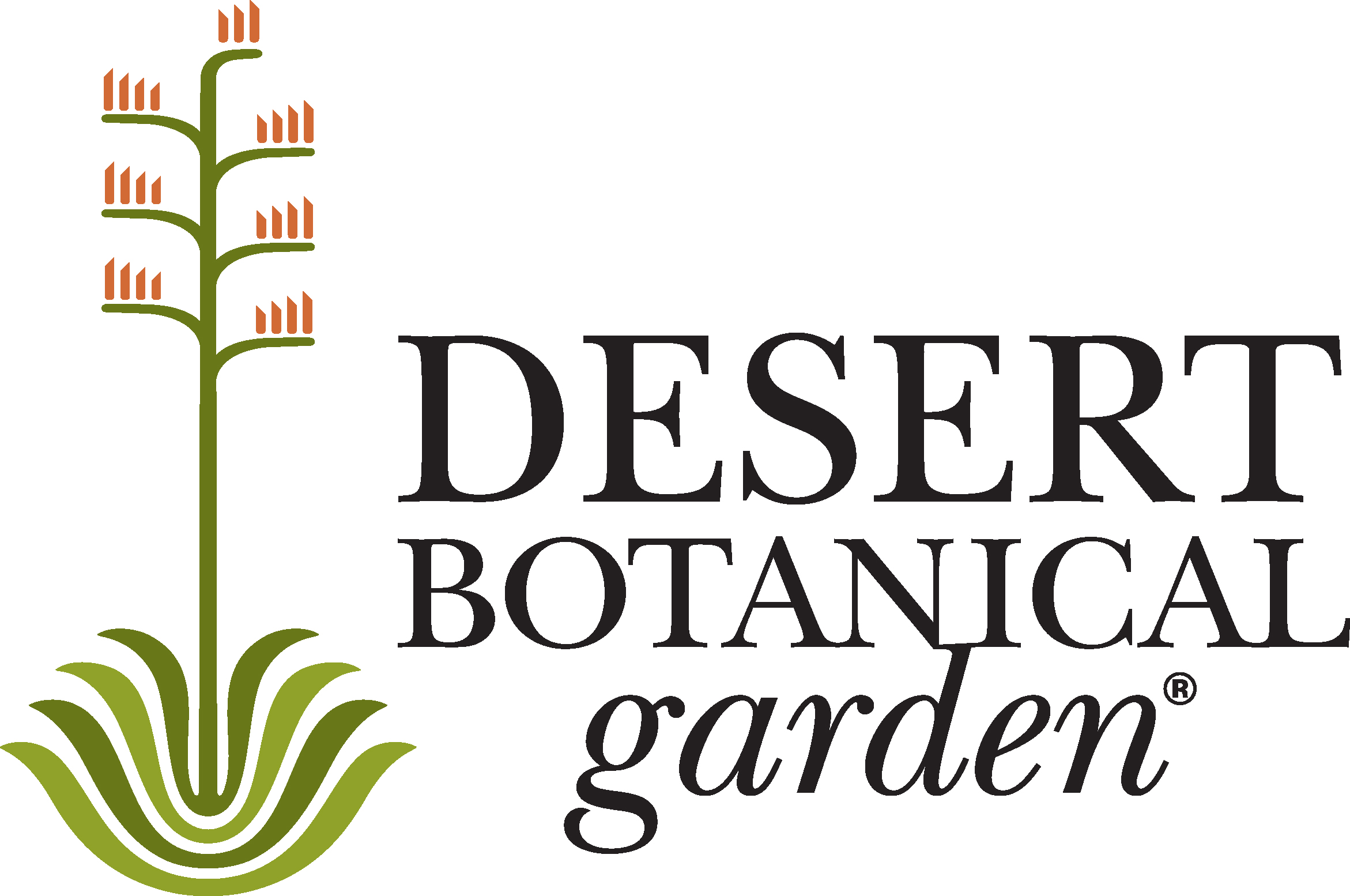 Desert Botanical Garden