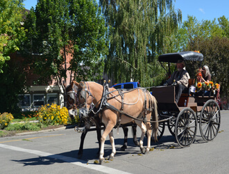 Hells Canyon Mule Days Sept. 11-13 2015