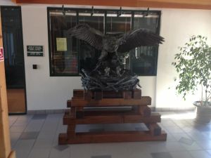 Eagle on display