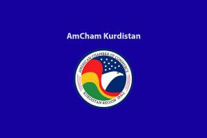 AmCham Placeholder post logo