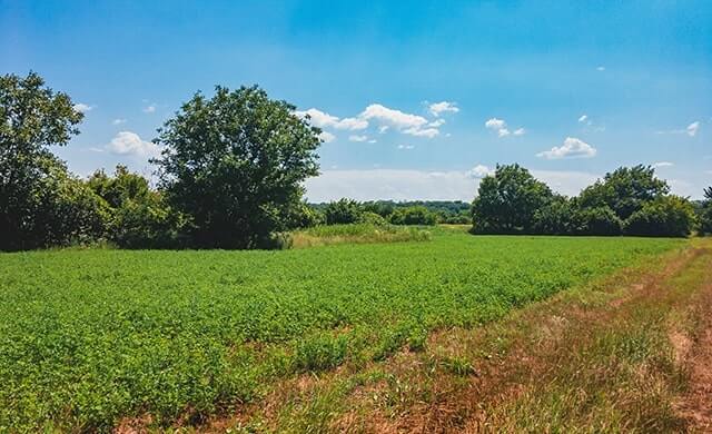 Home - Greater El Paso Association of REALTORS® | GEPAR March 04 2022