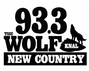 93.3 wolf logo