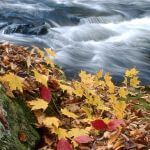 Oconaluftee River in Fall