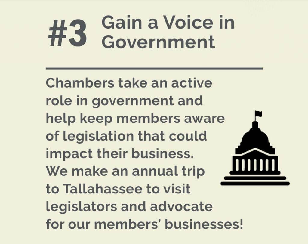 3. Gain a Voice in Government